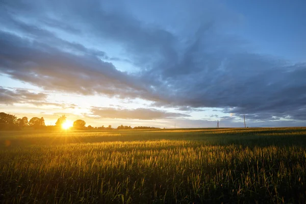 Эпическое Небо Заката Над Зеленым Сельскохозяйственным Полем Трансформаторные Столбы Заднем — стоковое фото