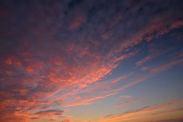 カラフルなピンク オレンジ 金色のサーカスの雲と澄んだ夕日の空 抽象的な自然パターン テクスチャ クローズアップ コンセプトアート 気象学 生態学 気候変動 — ストック写真