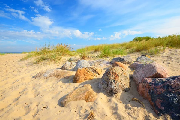 晴れた夏の日にバルト海の砂浜 緑の草や石のクローズアップ 白色の雲で青空をきれいにする 牧歌的な海の景色 レクリエーションのテーマ ドイツ — ストック写真