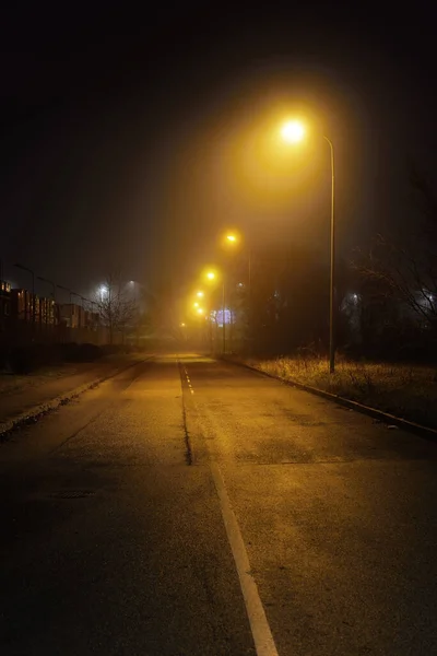 夜雾中的一条空荡荡的旧柏油路 街灯特写 黑暗的城市景象 城市景观 拉脱维亚里加 危险驾驶 概念形象 — 图库照片