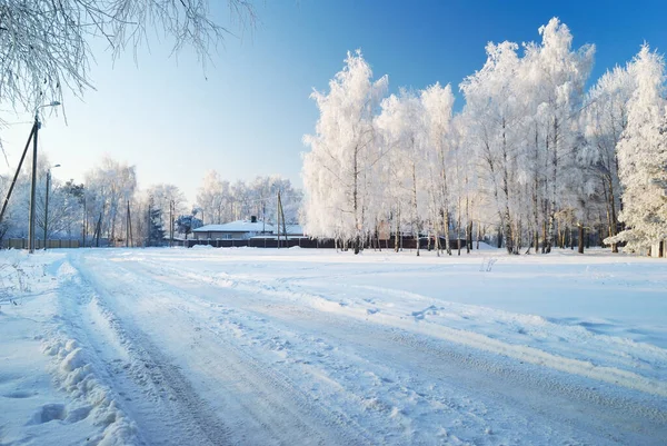 Snow Covered Field Frosty Trees Background Latvia Transformer Pole Electrical — Stock Photo, Image