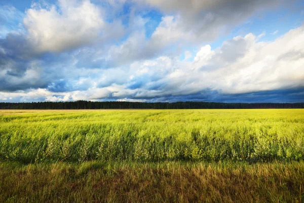 Country Agricultural Field Rain Dramatic Sky Epic Cloudscape Fickle Weather — Stock Photo, Image