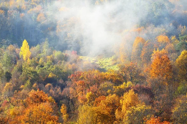 Захватывающий Дух Панорамный Вид Красочные Красные Оранжевые Желтые Деревья Смешанного — стоковое фото