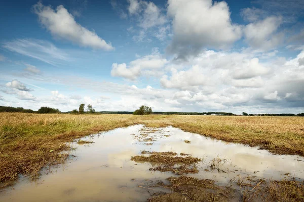 Cielo Dramático Sobre Campo Agrícola Charco Primer Plano Escena Rural —  Fotos de Stock