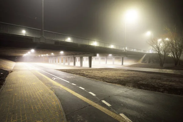 An empty illuminated motorway, bicycle road and pedestrian walkway under the bridge in a fog at night. Dark urban scene. Riga, Latvia. Dangerous driving, concept image