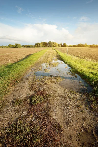 Pathway Green Plowed Agricultural Field Dramatic Sky Rural Scene Farm — Stock Photo, Image