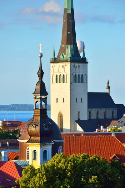 Letecký Pohled Staré Město Tallinn Slunečného Letního Dne Kostel Olafa — Stock fotografie