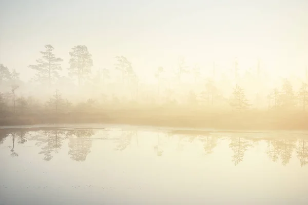 在日出时分 在浓密的神秘雾中 湖面是一片起伏的森林 拉脱维亚的Cenas Tirelis 金色的阳光穿过常绿的树干 水的对称反射 Idyllic Autumn Landscape — 图库照片
