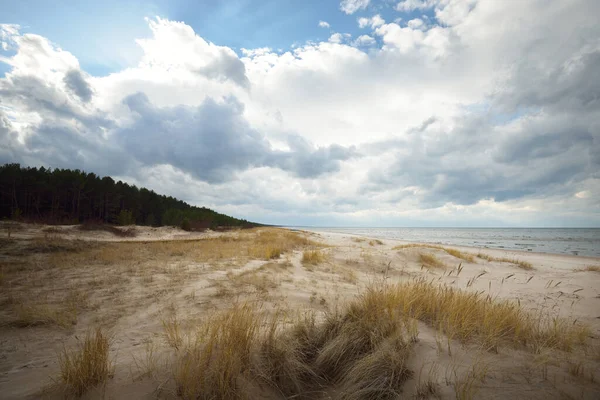 在阳光明媚的春天 波罗的海的沙滩上 长满了沙丘草 戏剧化的云雾 拉脱维亚 — 图库照片