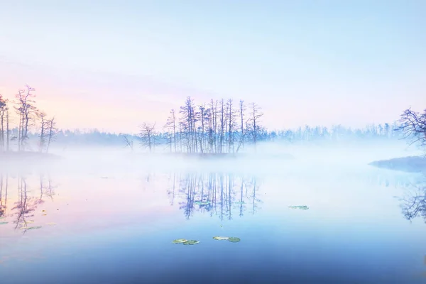 Křišťálově Čisté Jezero Bažina Mlze Při Východu Slunce Symetrické Odrazy — Stock fotografie