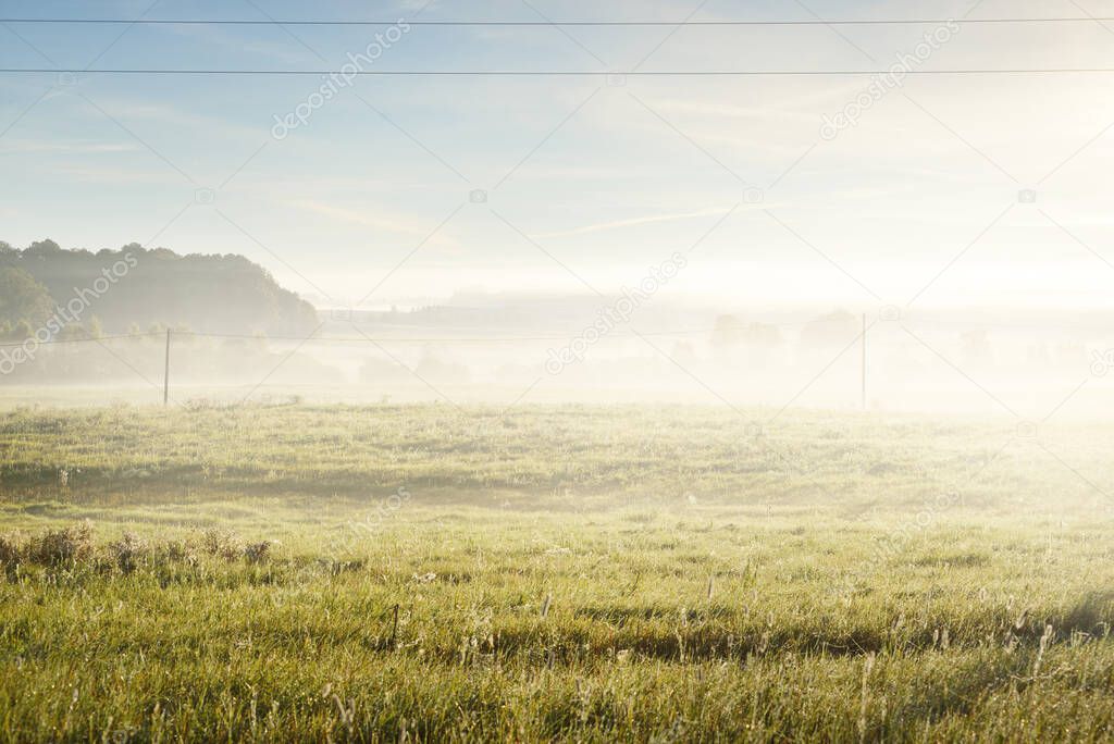 Golden country field and deciduous forest in a clouds of morning fog at sunrise. Tree silhouettes in the background. Transformer pole, cable close-up. Electricity line, energy, environmental damage
