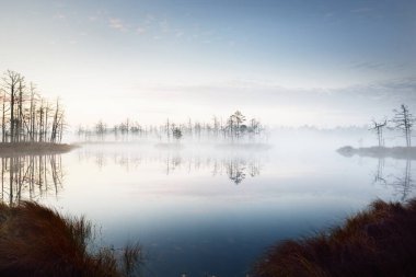 Gün doğumunda sisli, berrak bir göl. Suda simetri yansımaları, doğal ayna, karanlık ağaç siluetleri. Destansı bulut manzarası. Idyllic sonbahar sahnesi. Sanat, fantezi, peri masalı