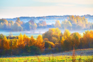 Tarım arazisi ve sabah sisi bulutlarının içindeki renkli orman. Idyllic kırsal kesim. Gauja Ulusal Parkı, Sigulda, Letonya. Görüntü kavramı, seyahat noktaları, çevre koruma teması