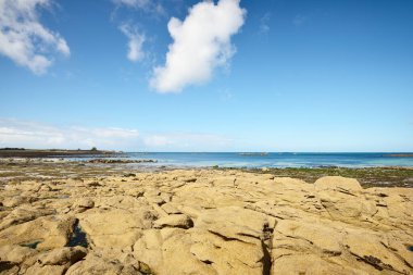Güneşli bir günde, Lilia Körfezi 'nin Rocky kıyısında, Le Vierge deniz fenerinin yanında. Kadim taşlara yakın çekim. Plouguerneau, Finistre, Brittany, Fransa. Seyahat yerleri, ulusal dönüm noktaları.