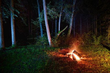 Geceleri mistik ormanda şenlik ateşi, karanlıkta ağaç siluetleri. Letonya 'da putperest geleneksel yaz kutlaması. Hareket bulanıklığı etkisi, uzun süre maruz kalma. Çevre turizmi, ulusal kültür teması