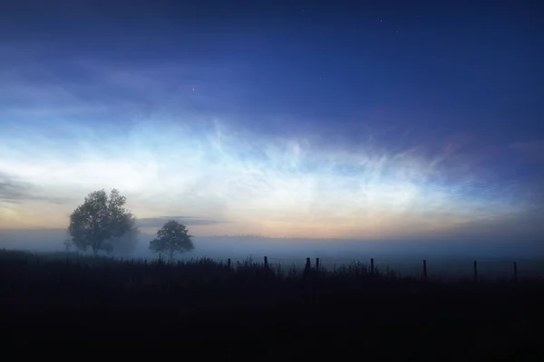 Starry sky with noctilucent clouds above the country field at summer solstice night in Finland. Lonely trees in a fog close-up. Beautiful flowing light. Fantastic cloudscape. Idyllic rural scene