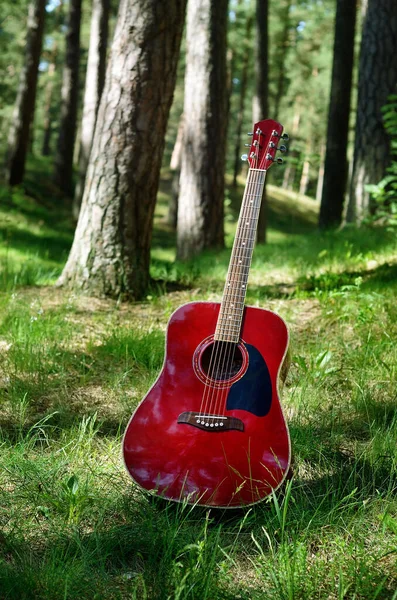 Guitarra Acústica Vermelha Clássica Close Prado Verde Floresta Primavera Fundo — Fotografia de Stock