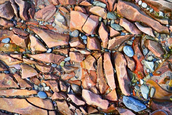 Pequenas Pedras Marrons Brilhantes Textura Close Padrão Natural Fundo Mar — Fotografia de Stock