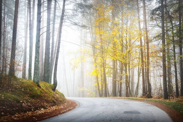 Uma Estrada Asfalto Vazia Com Uma Curva Acentuada Através Das — Fotografia de Stock