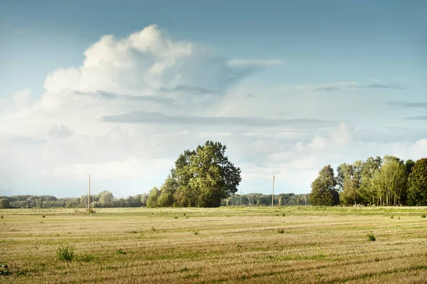 绿色的耕田在壮观的天空下 背后是变形金刚的两极 乡村风景 农业和食品工业 替代能源和生产 环境保护主题 — 图库照片