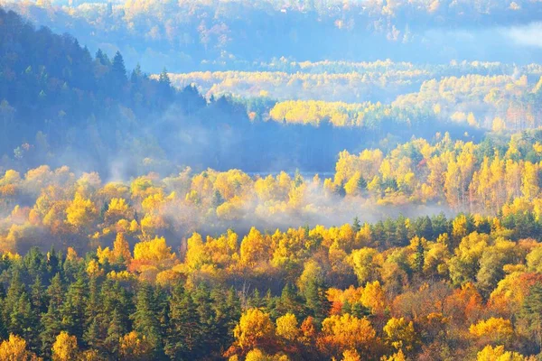 Hisnande Panoramautsikt Över Kullarna Färgglada Röda Orange Och Gula Träd — Stockfoto