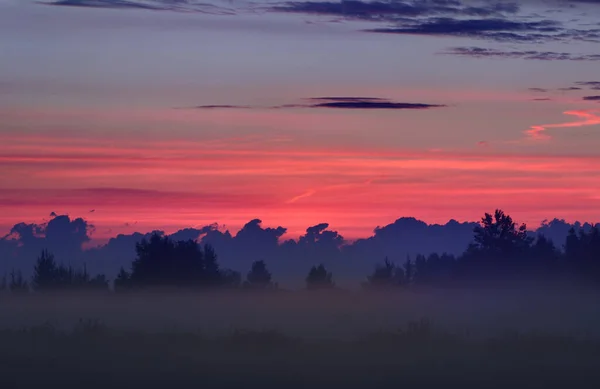 Campo Campagna Nella Nebbia All Alba Silhouette Degli Alberi Sullo — Foto Stock