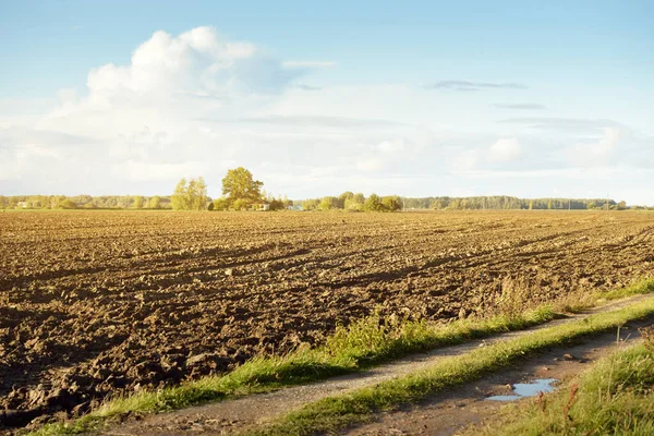 Cesta Přes Zelené Orané Zemědělské Pole Pod Dramatickou Oblohou Venkovská — Stock fotografie