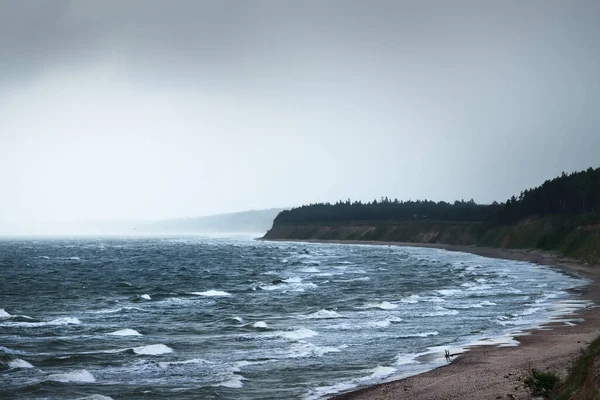 雷雨过后 波罗的海海岸 和松林笼罩在巨大的云彩之下 拉脱维亚 史诗般的海景气旋 恶劣天气 气象学 气候变化 自然现象 — 图库照片