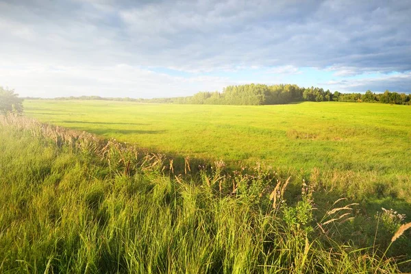 Zielone Pole Pod Dramatycznymi Chmurami Las Tle Idylliczna Scena Wiejska — Zdjęcie stockowe