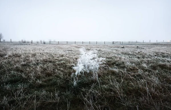 Puste Zielone Pole Gęstej Białej Porannej Mgle Mróz Świeży Śnieg — Zdjęcie stockowe