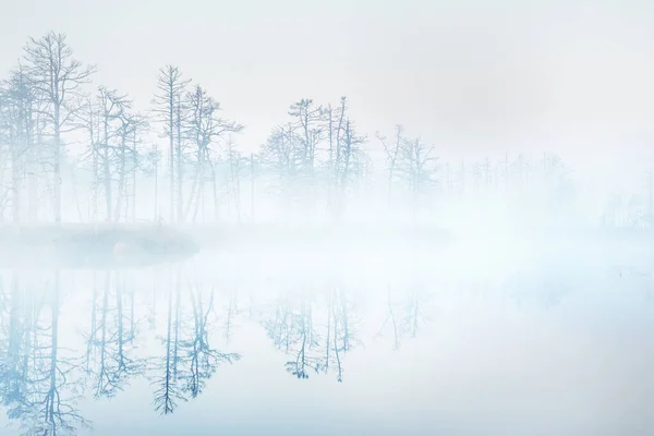 Lac Cristallin Tourbière Dans Brouillard Lever Soleil Réflexions Symétriques Sur — Photo