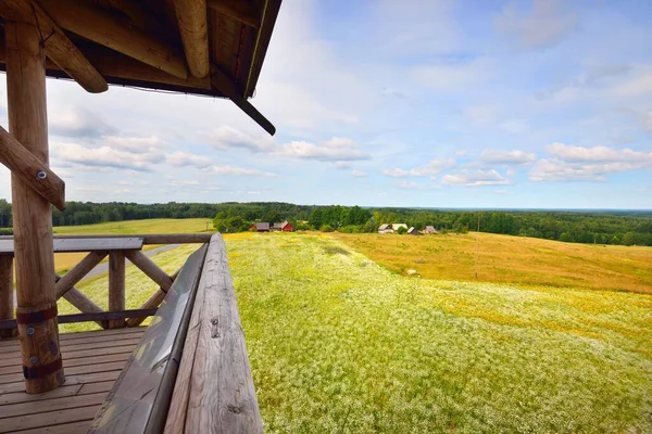 Panoramic View Blooming Chamomile Field Old Wooden Country Houses Asphalt — Stock Photo, Image