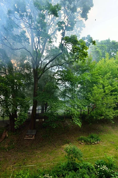 Backyard and a green summer garden in flame. Fire and smoke close-up. Forest fires in Europe. Seasons, ecology, ecological issue, environmental damage, disaster, danger, social problems