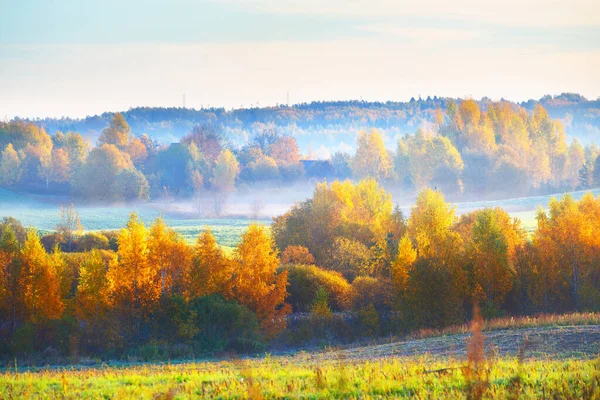 农田和五彩斑斓的森林笼罩在晨雾中 田园诗般的乡村风景 拉脱维亚Sigulda Gauja国家公园 概念形象 旅游目的地 环境保护主题 — 图库照片