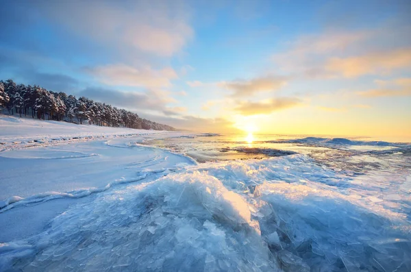 日落时冻结的波罗的海海岸全景 冰片的特写 覆盖着积雪的针叶林背景 多彩的云彩 水的对称反射 拉脱维亚 — 图库照片