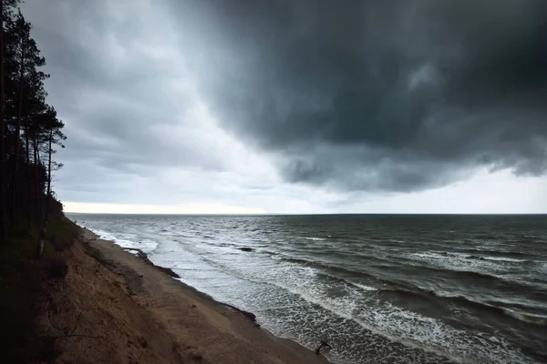 雷雨後の劇的な雲の下でバルト海沿岸 と松林 ラトビア 壮大な海の景色 サイクロン 気象学 気候変動 自然現象 — ストック写真