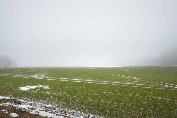 Countryside Agricultural Field Gloomy Sky Thick Fog Fresh Snow Ground — Stock Photo, Image