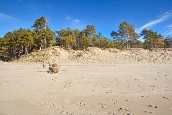 Costa Mar Báltico Durante Maré Baixa Dia Ensolarado Verão Letônia — Fotografia de Stock