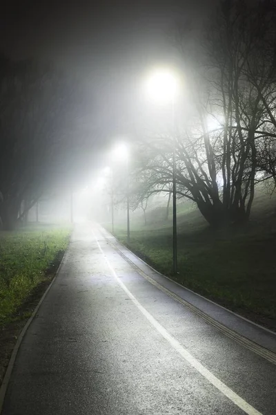 Empty Illuminated Bicycle Road City Park Fog Night Lanterns Close — Stock Photo, Image