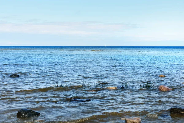 Mar Baltico Una Chiara Giornata Estiva Una Vista Dalla Riva — Foto Stock