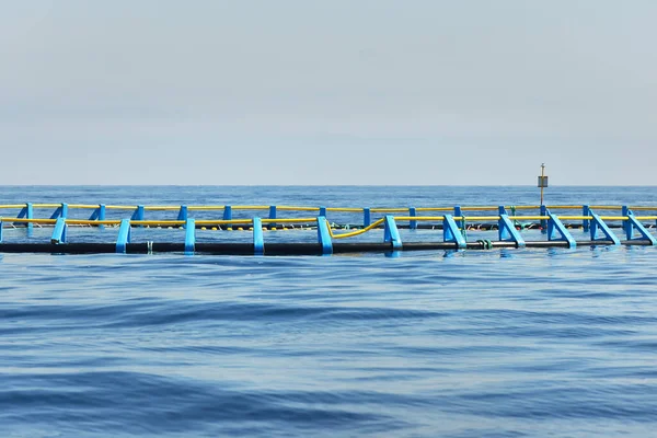 Granja Peces Mar Mediterráneo Abierto Primer Plano España Industria Alimentaria —  Fotos de Stock