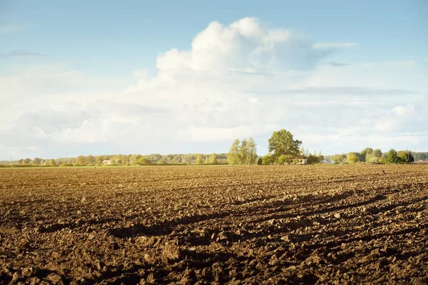 Campo Agrícola Arborizado Sob Céu Dramático Trilhas Trator Textura Solo — Fotografia de Stock