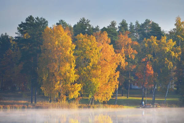 Landhäuser Bunte Bäume Und Ein Fluss Morgennebel Lettland Symmetriereflexionen Auf — Stockfoto