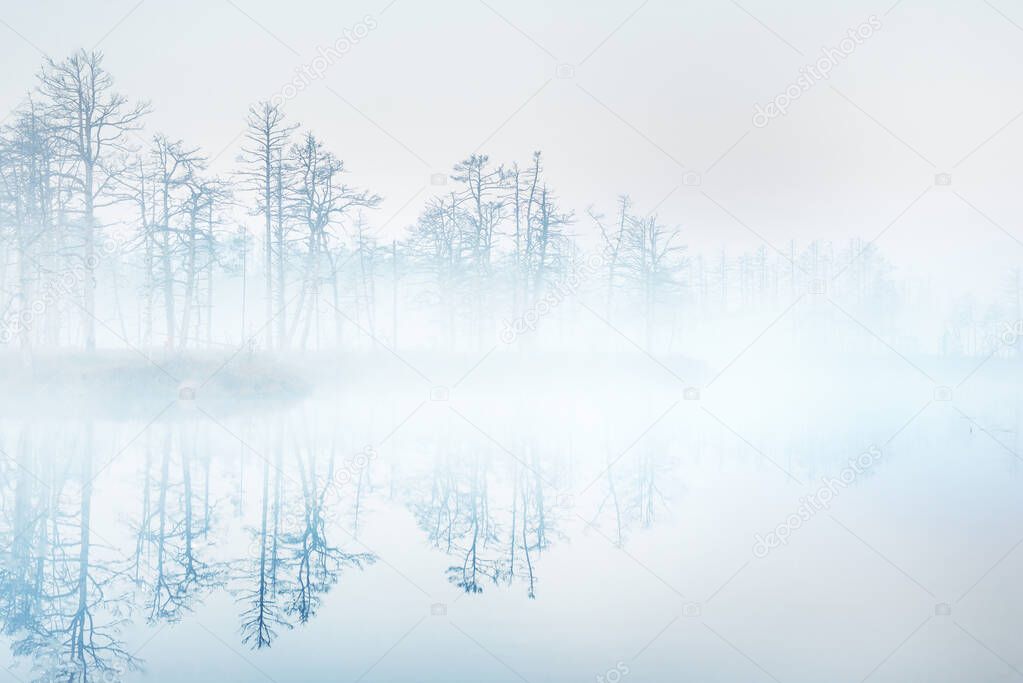 crystal clear lake (bog) in a fog at sunrise. Symmetry reflections on the water, natural mirror, dark tree silhouettes. Epic cloudscape. Idyllic autumn scene. Concept art, fantasy, fairy tale