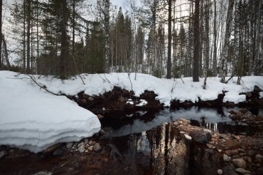 Karla kaplı bir ormandaki vahşi nehir manzarası. Taşlar yakın plan. Kış manzarası. Karelya Kuzey, Laponya