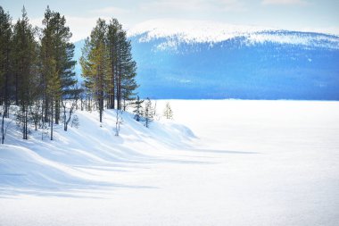 Açık bir kış gününde, karla kaplı tepelerin panoramik manzarası. Arka planda dağlar ve kozalaklı orman var. Kola Yarımadası, Murmansk bölgesi, Kutup Dairesi, Karelia, Rusya