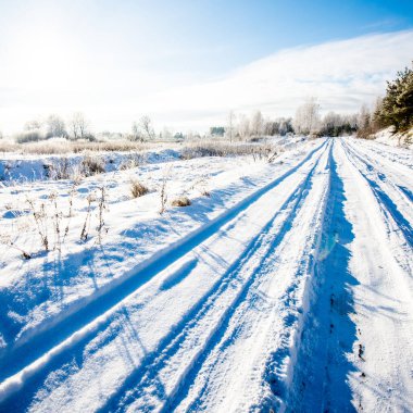 Tarlada ve huş ağaçlarında boş bir yol. Kış manzarası. Letonya