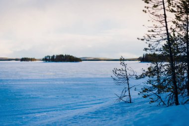 Karla kaplı donmuş Kuito gölünün üzerinde dramatik mavi günbatımı gökyüzü, arka planda kozalaklı orman. Evergreen ağaçları yakın plan. Fırtına bulutları. Karelya Kuzey, Laponya