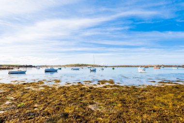 Güneşli bir günde Lilia körfezinde Vierge deniz fenerinin yanında yat ve tekneler geziyor. Plouguerneau, Finistre, Brittany, Fransa. Seyahat yerleri, ulusal dönüm noktası, eğlence teması.