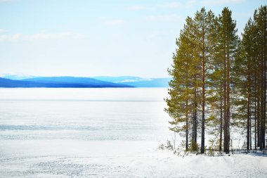 Donmuş gölün panoramik manzarası. Arka planda karla kaplı dağlar ve kozalaklı ormanlar var. Açık mavi gökyüzü. Kola Yarımadası, Murmansk bölgesi, Kutup Dairesi, Karelia, Rusya